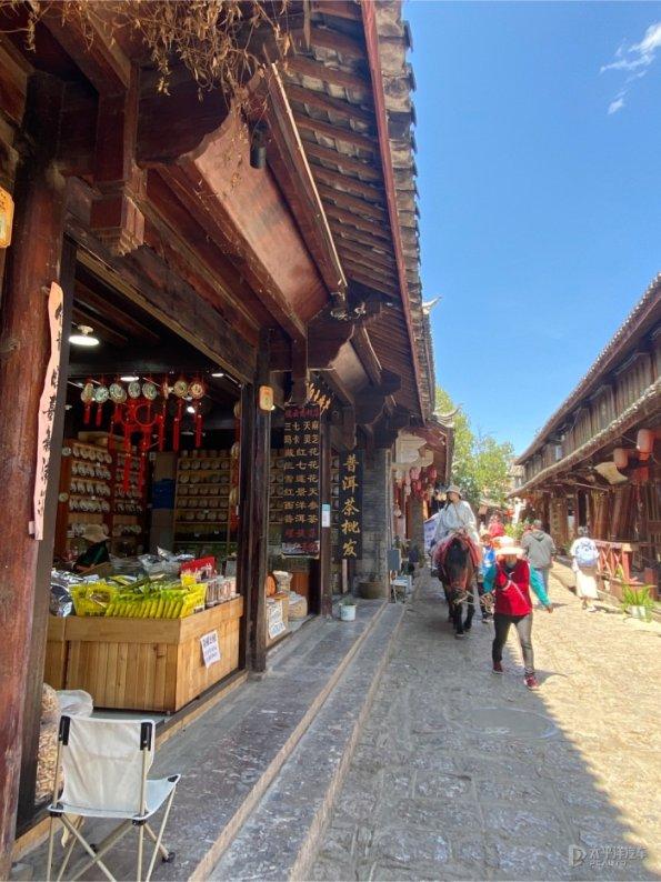 逃离鱼店